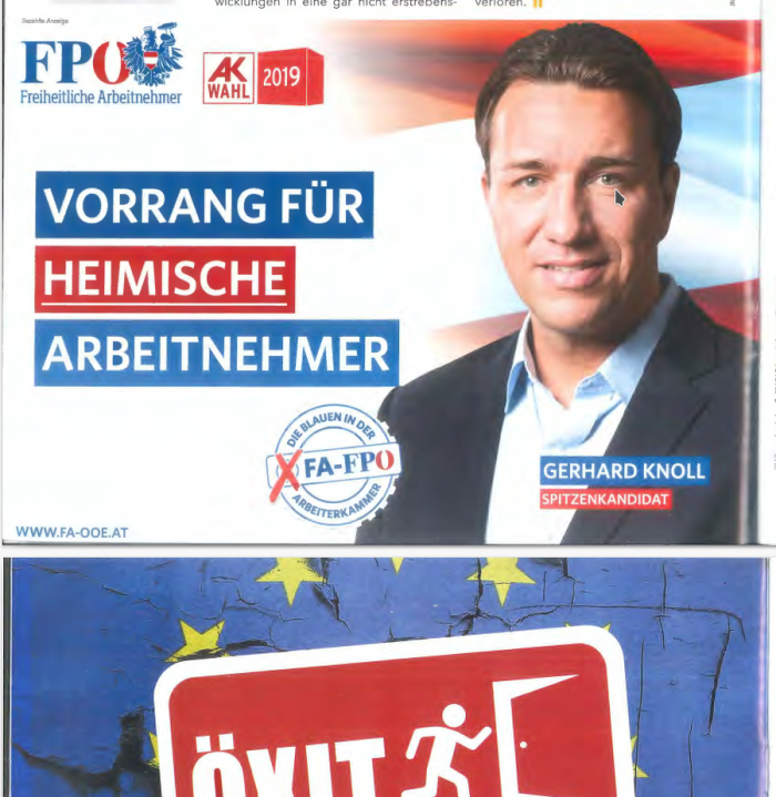 Info-Direkt 2019: Anzeige FPÖ 