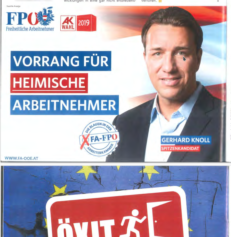 Info-Direkt 2019: Anzeige FPÖ